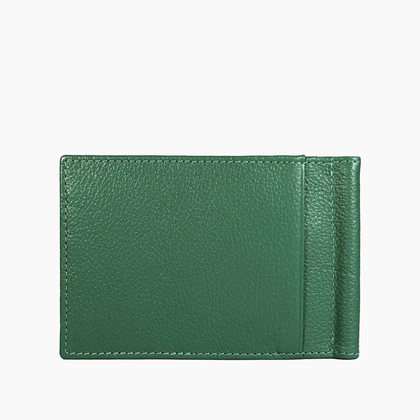 Wallet with Clip - Parrot
