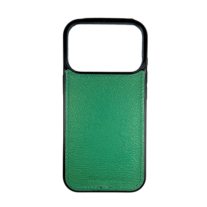 Case iPhone 17 Pro Max Clásico - Loro