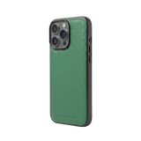 Case iPhone 15 Pro Max Clásico - Loro