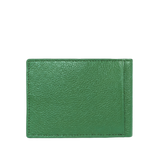 Classic Wallet - Parrot