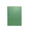 Mini Passport Holder - Parrot