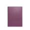 Mini Passport Holder - Red